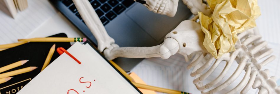 white skeleton figurine on white table beside a laptop